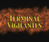 Terminal Vigilantes